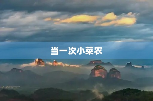 当一次小菜农