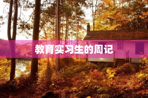教育实习生的周记 教育实习生的周记