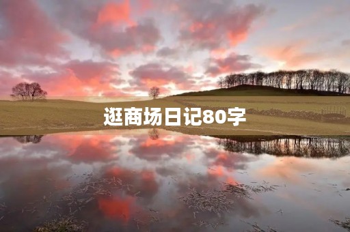 逛商场日记80字 逛商场日记80字