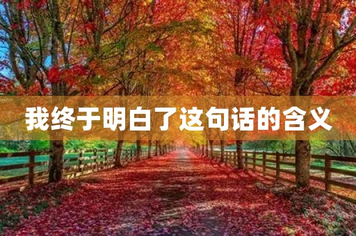 我终于明白了这句话的含义