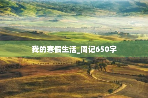我的寒假生活_周记650字