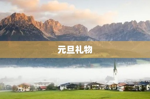 元旦礼物 元旦礼物