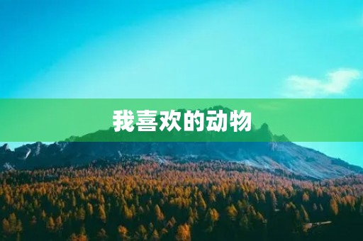 我喜欢的动物 我喜欢的动物