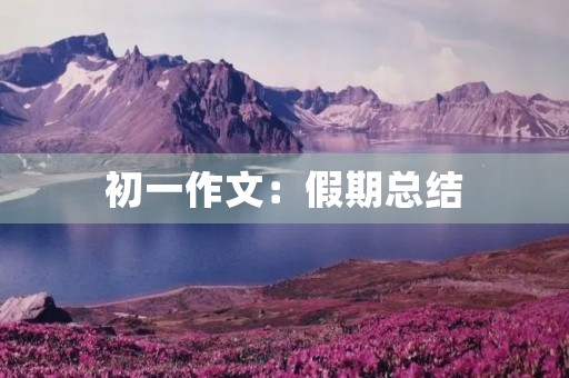 初一作文:假期总结 初一作文:假期总结