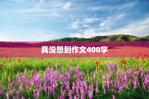 真没想到作文400字