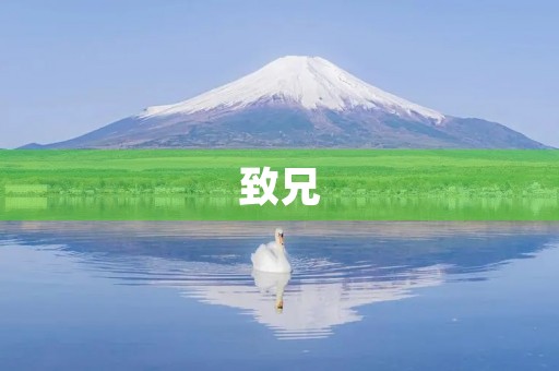 致兄