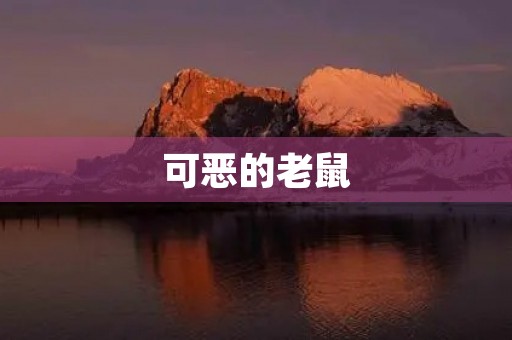 可恶的老鼠 可恶的老鼠