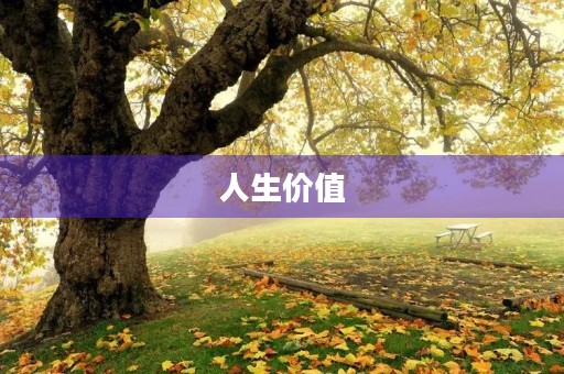 人生价值 人生价值