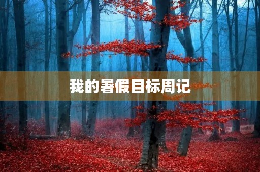 我的暑假目标周记 我的暑假目标周记