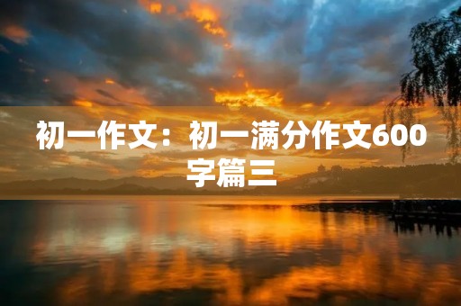 初一作文：初一满分作文600字篇三