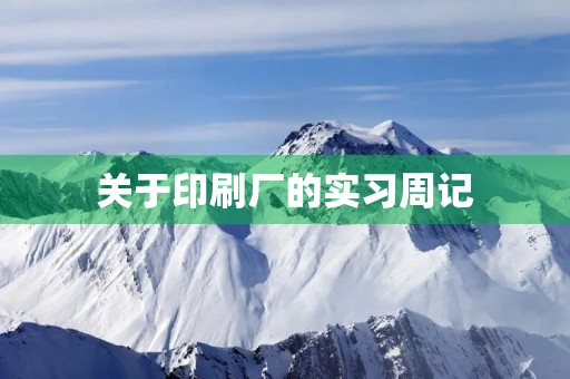 关于印刷厂的实习周记 关于印刷厂的实习周记