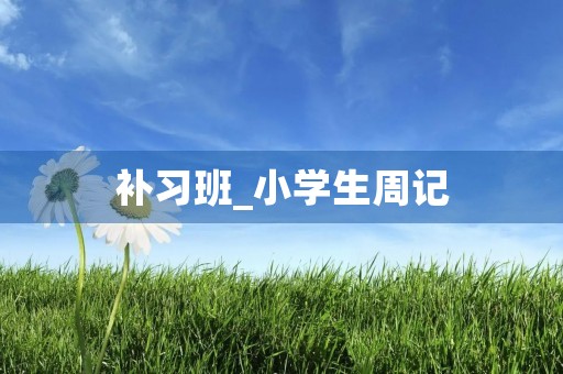 补习班_小学生周记 补习班_小学生周记