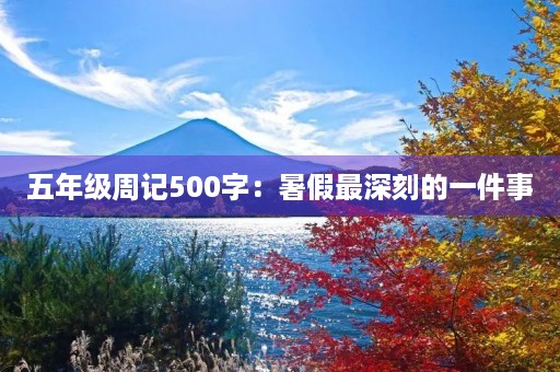 五年级周记500字：暑假最深刻的一件事