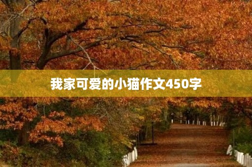 我家可爱的小猫作文450字