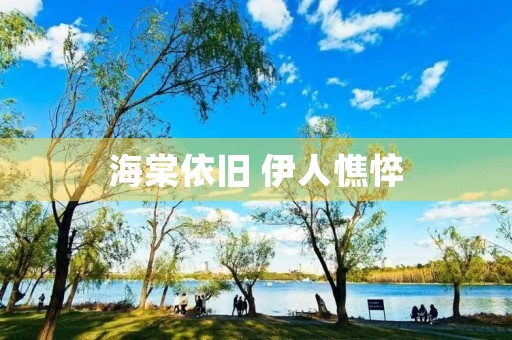 海棠依旧 伊人憔悴