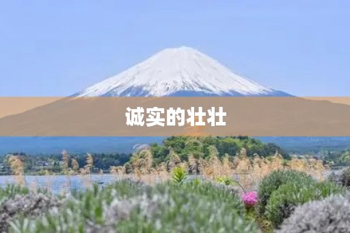 诚实的壮壮