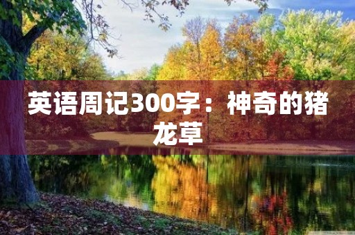 英语周记300字:神奇的猪龙草 英语周记300字:神奇的猪龙草