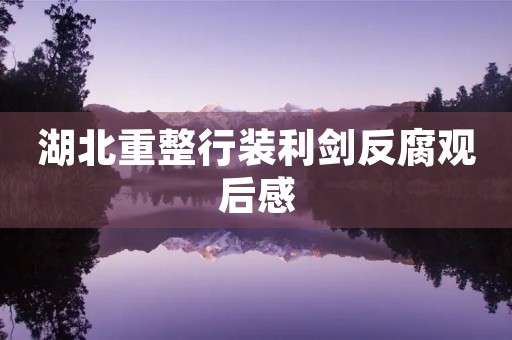湖北重整行装利剑反腐观后感 湖北重整行装利剑反腐观后感