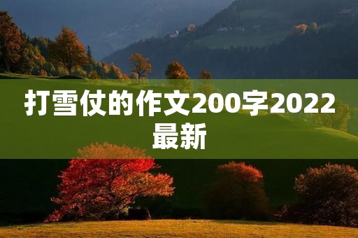 打雪仗的作文200字2022最新
