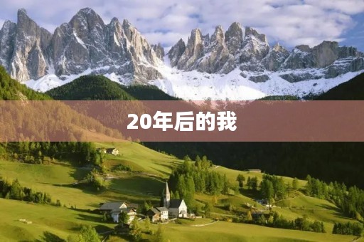 20年后的我 20年后的我