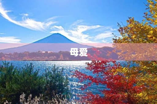 母爱 母爱
