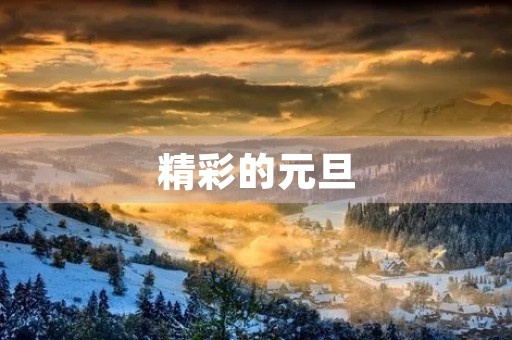 精彩的元旦 精彩的元旦