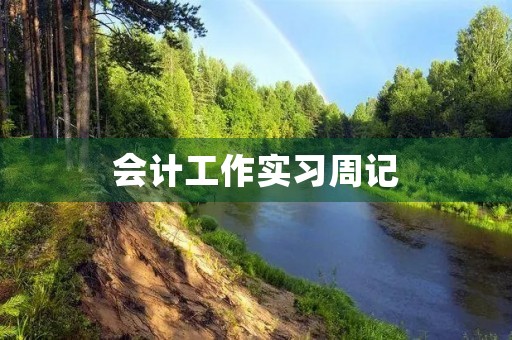 会计工作实习周记
