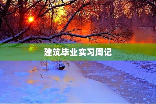 建筑毕业实习周记 建筑毕业实习周记