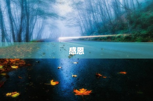 感恩 感恩