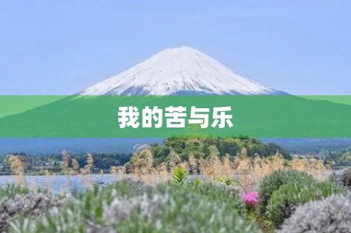 我的苦与乐