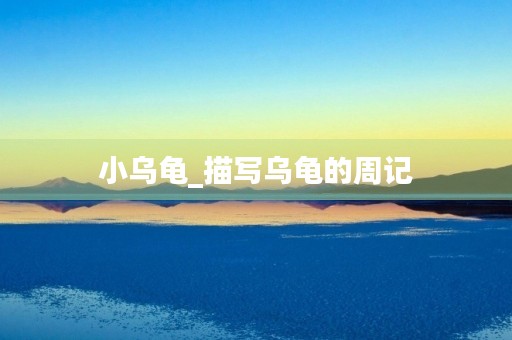 小乌龟_描写乌龟的周记