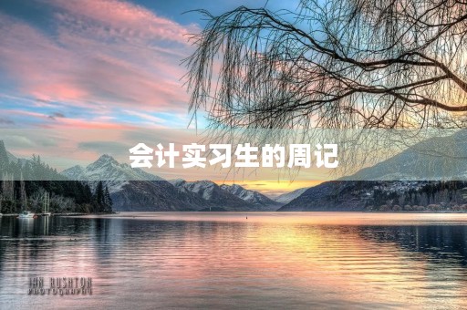会计实习生的周记