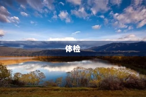 体检