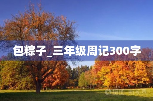 包粽子_三年级周记300字 包粽子_三年级周记300字
