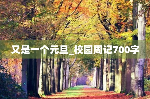 又是一个元旦_校园周记700字