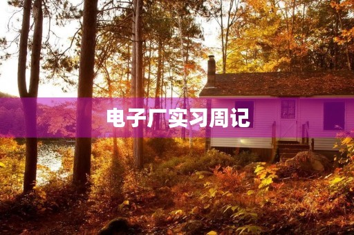 电子厂实习周记 电子厂实习周记