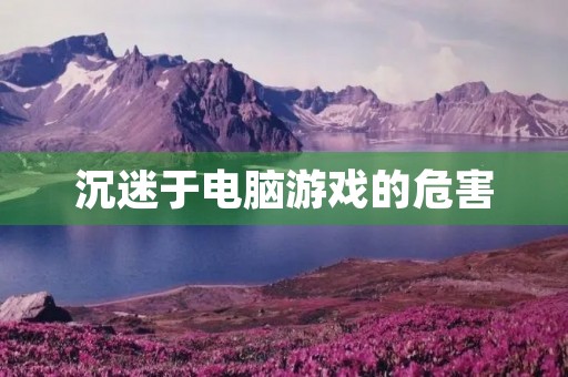沉迷于电脑游戏的危害