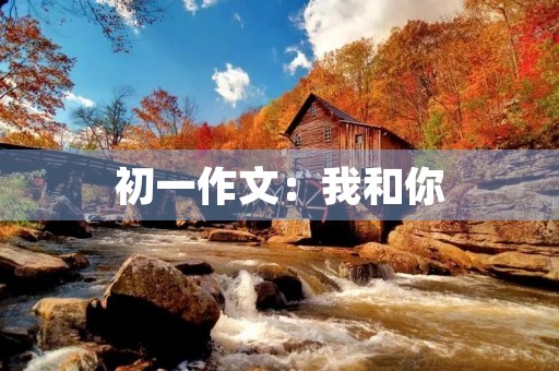 初一作文：我和你