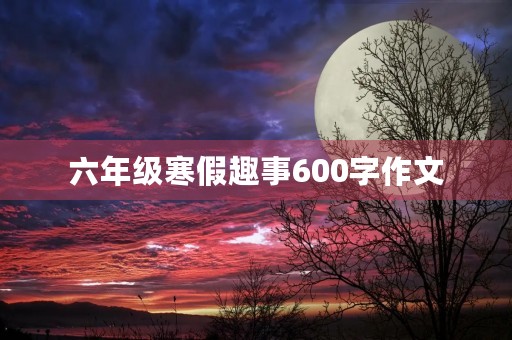 六年级寒假趣事600字作文