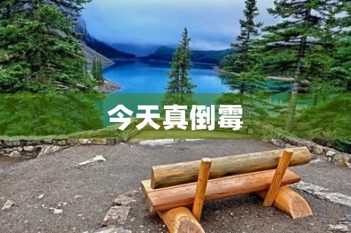 今天真倒霉 今天真倒霉
