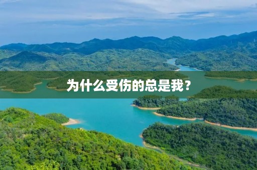 为什么受伤的总是我？