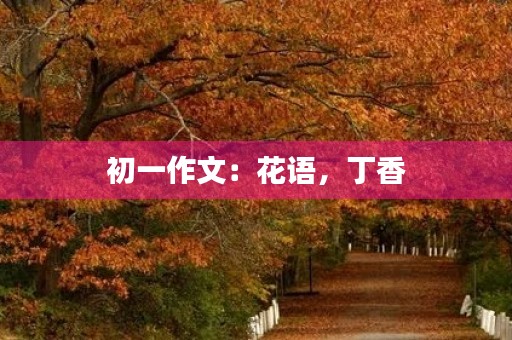初一作文：花语，丁香