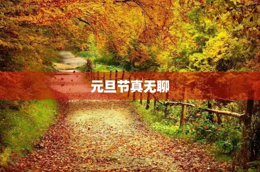 元旦节真无聊
