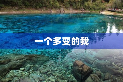 一个多变的我 一个多变的我