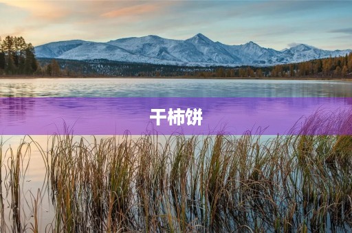 干柿饼