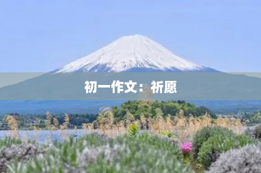 初一作文：祈愿