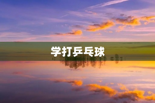 学打乒乓球