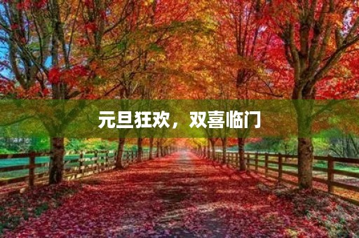 元旦狂欢,双喜临门 元旦狂欢,双喜临门