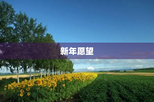 新年愿望 新年愿望