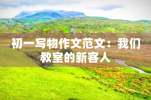 初一写物作文范文:我们教室的新客人 初一写物作文范文:我们教室的新客人